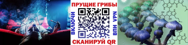 Псилоцибиновые грибы Magic Shrooms  Кедровый 